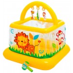 Батуты надувные (0)